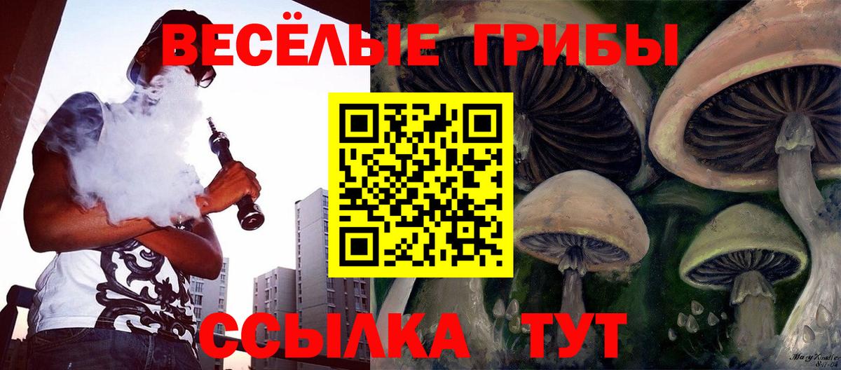 Псилоцибиновые грибы Cubensis Комсомольск-на-Амуре